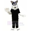 Wolf Husky in Black T-shirt Mascot Costume Animal