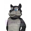 Wolf mascot costume