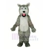 Little Gray Wolf Mascot Costumes Cartoon