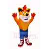 Crash Bandicoot Wolf Mascot Costumes Cartoon	