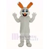 Easter Bunny Rabbit Mascot Costume Adult