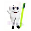 Healthy Tooth Mascot Costume Cartoon