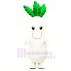 White Radish Vegetable Mascot Costume Cartoon