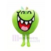 Funny Green Apple Fruit Mascot Costume Cartoon 