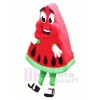 High Quality Watermelon Mascot Costume Cartoon