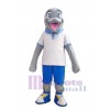 Dolphin mascot costume