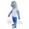 Dolphin mascot costume