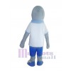 Dolphin mascot costume