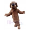 Dog mascot costume