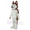 Dog mascot costume