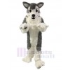 Dog mascot costume