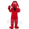 Dog mascot costume