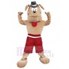 Dog mascot costume
