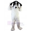 Dog mascot costume