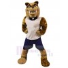 Dog mascot costume