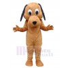Dog mascot costume