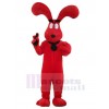 Dog mascot costume