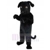 Dog mascot costume