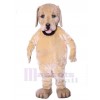 Dog mascot costume