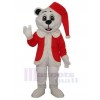 Dog mascot costume