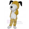 Dog mascot costume