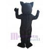Cat mascot costume