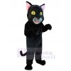 Cat mascot costume