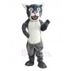 Wildcat mascot costume