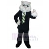 Cat mascot costume