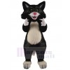 Cat mascot costume