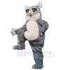 Cat mascot costume