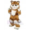 Cat mascot costume