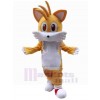 Cat mascot costume