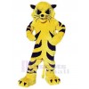 Cat mascot costume