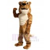 Cat mascot costume