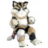 Cat mascot costume