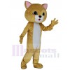 Cat mascot costume