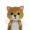 Cat mascot costume