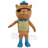 Cat mascot costume