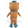 Cat mascot costume