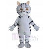 Cat mascot costume