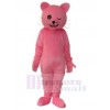 Cat mascot costume