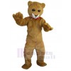 Cat mascot costume