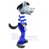 Wolf mascot costume