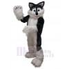Wolf mascot costume