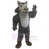 Wolf mascot costume