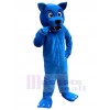 Wolf mascot costume