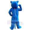 Wolf mascot costume