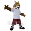 Wolf mascot costume