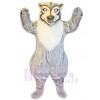 Wolf mascot costume